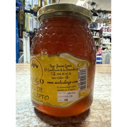 Miel de Eucalipto 1 KG Lietor ( Albacete)