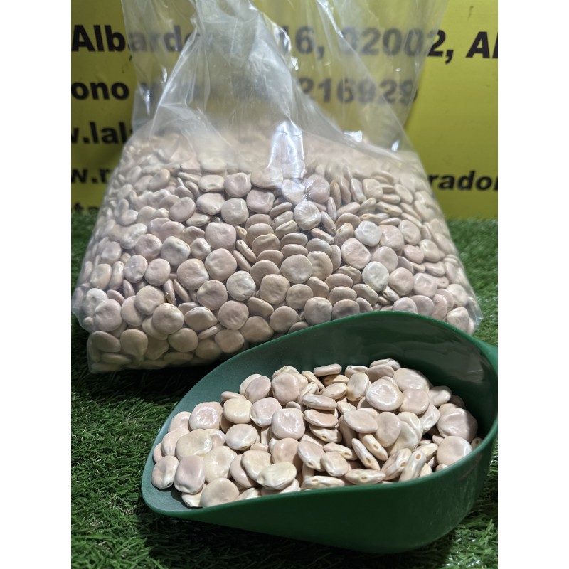 Altramuces